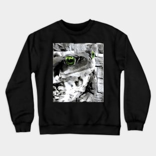 Frog Black and White Spray Paint Wall Crewneck Sweatshirt